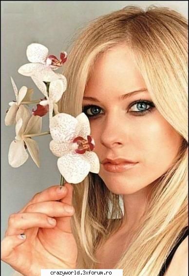 Poze - ♥Ra�ηdr�ps� - �●๋�Avril Lavigne�●๋�